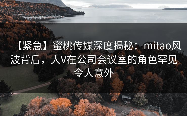 【紧急】蜜桃传媒深度揭秘：mitao风波背后，大V在公司会议室的角色罕见令人意外