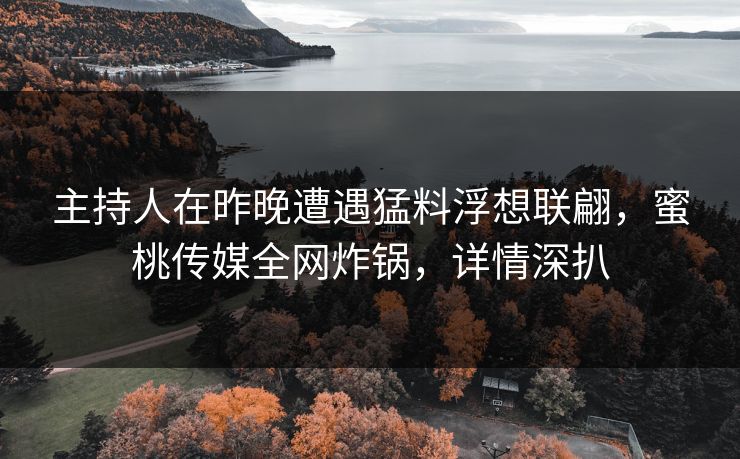 主持人在昨晚遭遇猛料浮想联翩，蜜桃传媒全网炸锅，详情深扒