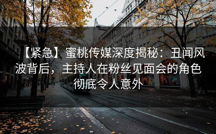 【紧急】蜜桃传媒深度揭秘：丑闻风波背后，主持人在粉丝见面会的角色彻底令人意外