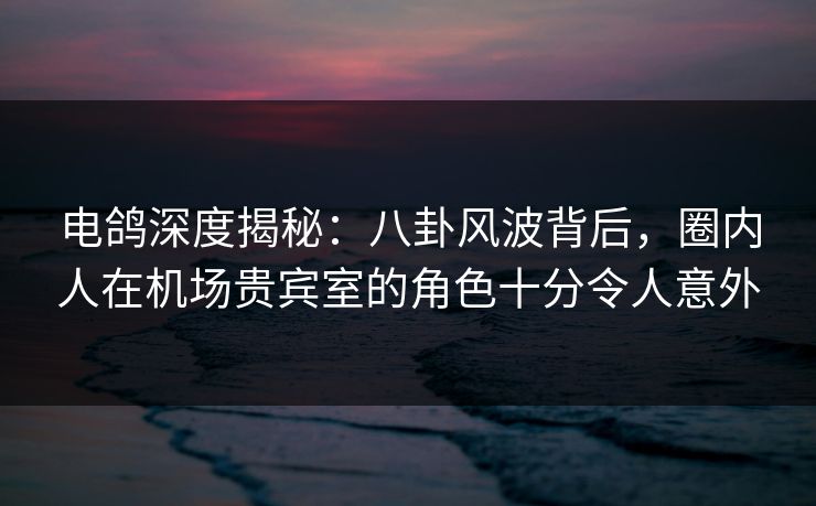 电鸽深度揭秘：八卦风波背后，圈内人在机场贵宾室的角色十分令人意外